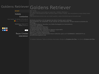 Canil Goldens Retriever