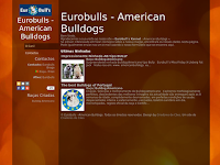 Canil EuroBulls - American Bulldogs