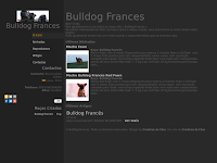 Canil Bulldog Frances