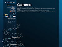 Canil Cachorros