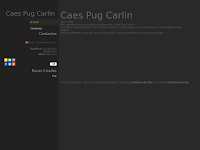 Canil caes pug carlin